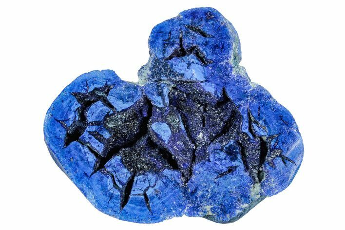 Vivid Blue, Cut/Polished Azurite Nodule - Siberia #335245